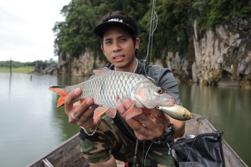 จิบบ้าง อะไรบ้าง Rapala Risto Rap 7 ครับ :cheer: