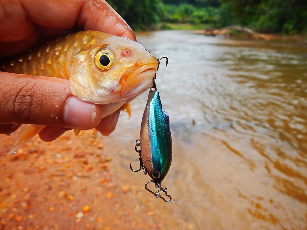 _** พเนจร..ตกปลา..หมายธรรมชาติ **_@@: SiamFishing : Thailand Fishing  Community
