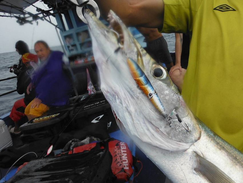 เคล็ดลับการปราบพวกปลาฟันคมครับ ตัวเบ็ดslowฝั่งลวดครับ ขอบอกทีเด็ดครับ สาก อินทรี  :cool: :cool: :coo