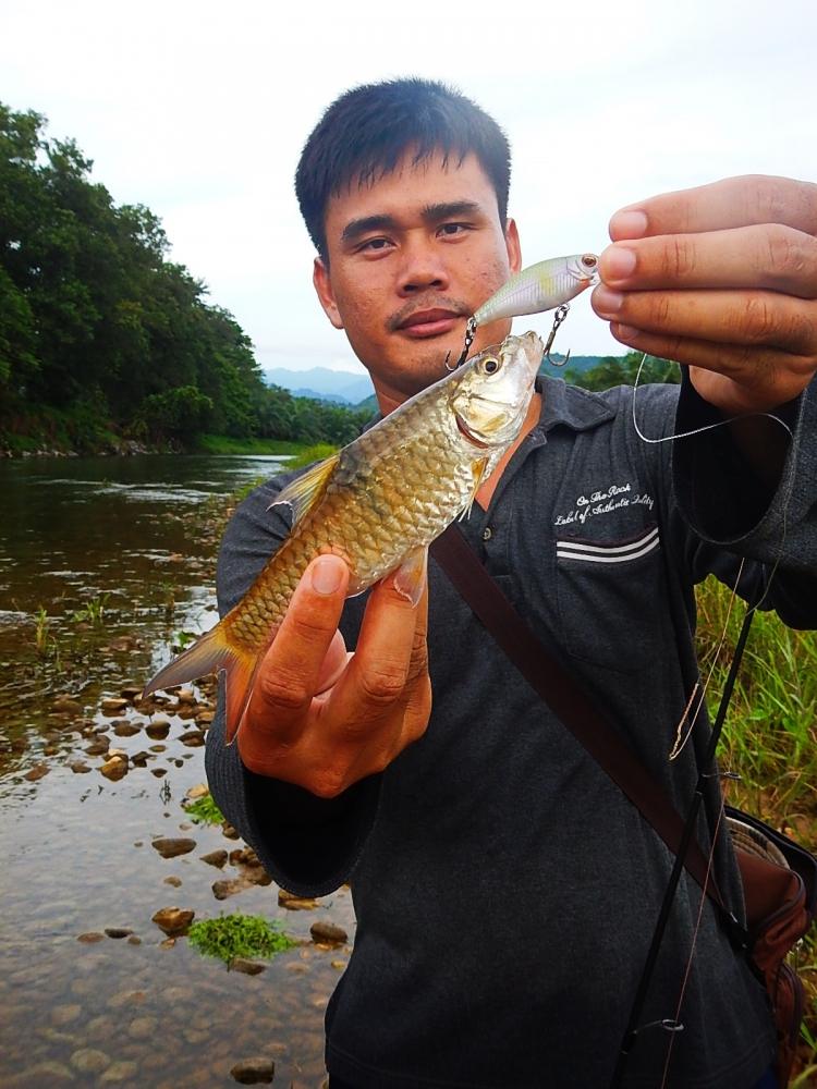 
[center]น้าแซม....ก็โดนพร้อมๆกันกับผมเลยครับ กระสูบตัวเล็กๆ[/center]

[q][i]อ้างถึง: BULINO post