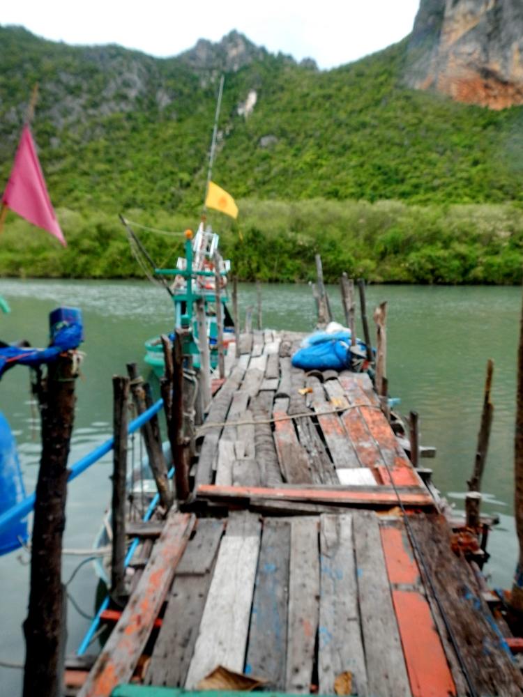     [b]สะพานไม้เล็กๆ  ที่ใช้สำหรับขึ้นลงเรือ  ......ยามหมึกกล้วยเข้าแนวตื้น!!.......  ที่เรือเล็กจะพ