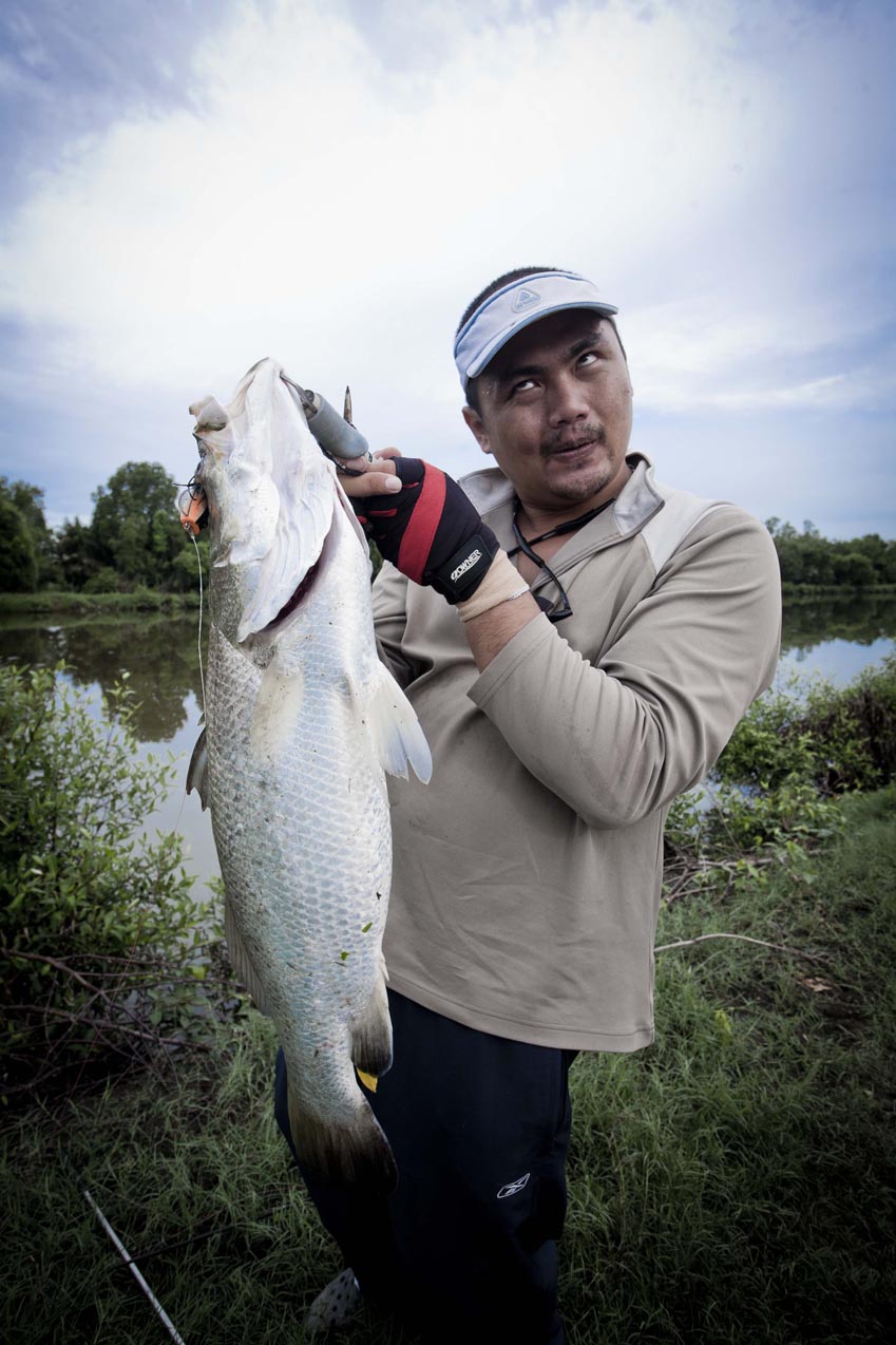  [b]คุณคิดยังไงกับภาพๆนี้ครับ[/b]