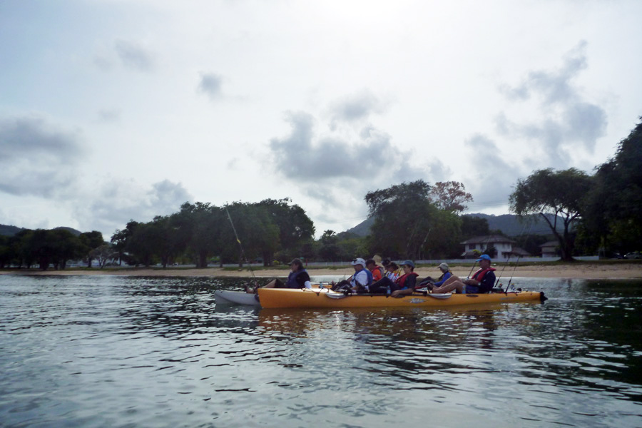 [center]อีกแบบคือคายัคแบบถีบ ในรูปเป็นของ Hobie ตัวเรือสวย ทน ออฟชั่นเสริมเพียบครับ

คายัคแบบนี้จะ