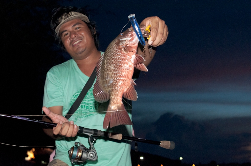  [center]เหยื่อtackle house feed popper
คัน st.criox mojo inshore
รอก fin-nor inshore 
สาย unika 