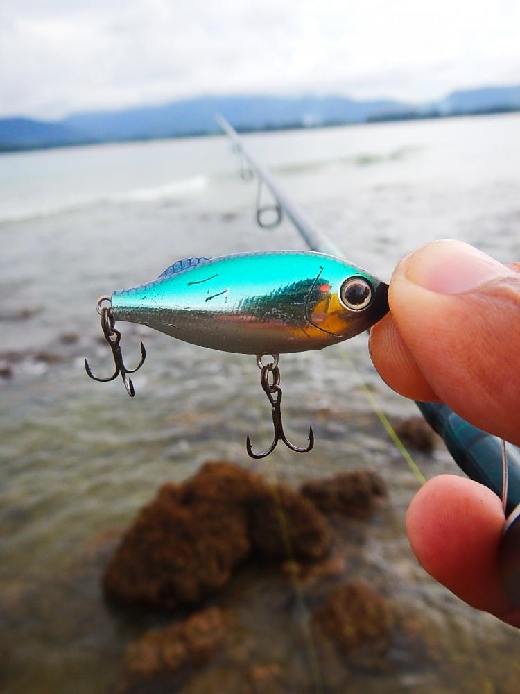 
 [center]Tackle House - SHORES Sinking Pool Shad 41mm 4g  อีกสีนึง ที่ถูกเลือกใช้[/center]

