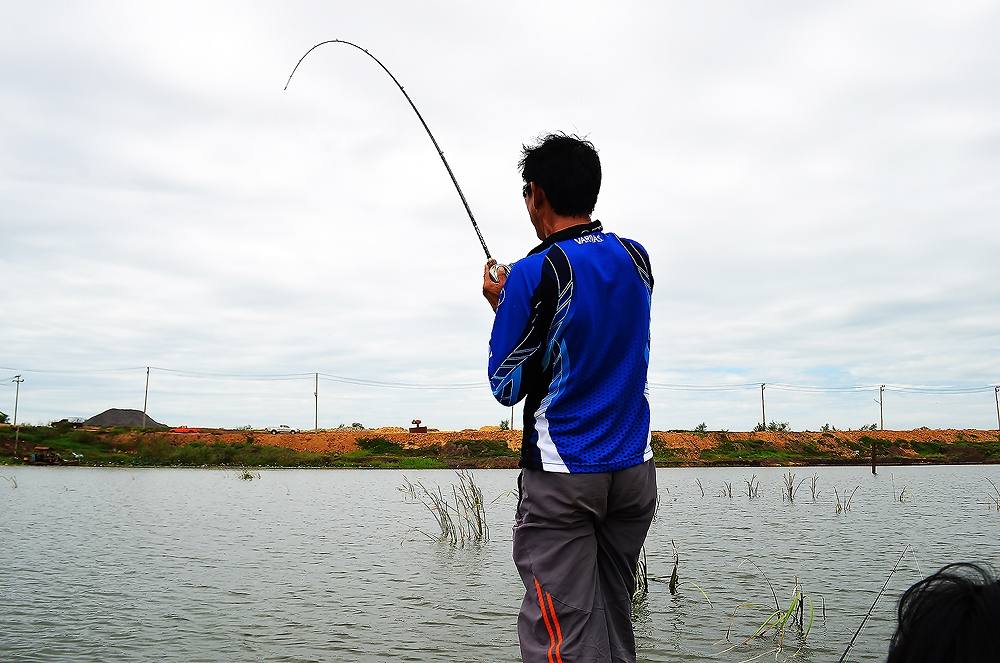 [center]


แล้วก็ลอยเรือเฝ้าตีกันยุไม่นานนักก็... มีตัวขึ้นจิบข้าง ๆ 

กอปรือ กำลังว่ายลงหัวมัน