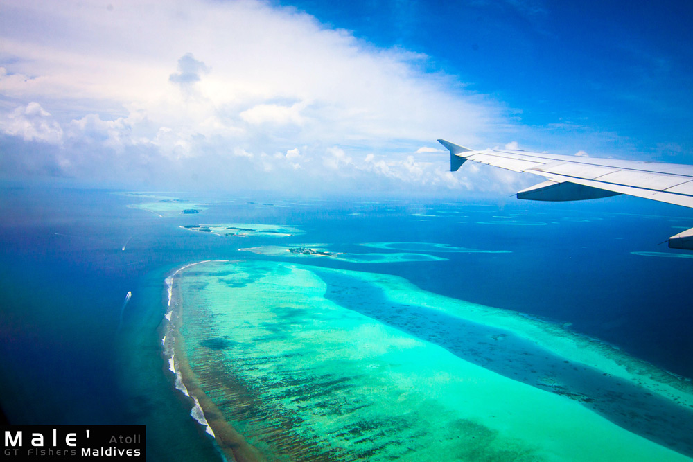 oO GT Fishers Maldives : Honeymoon Trip~*