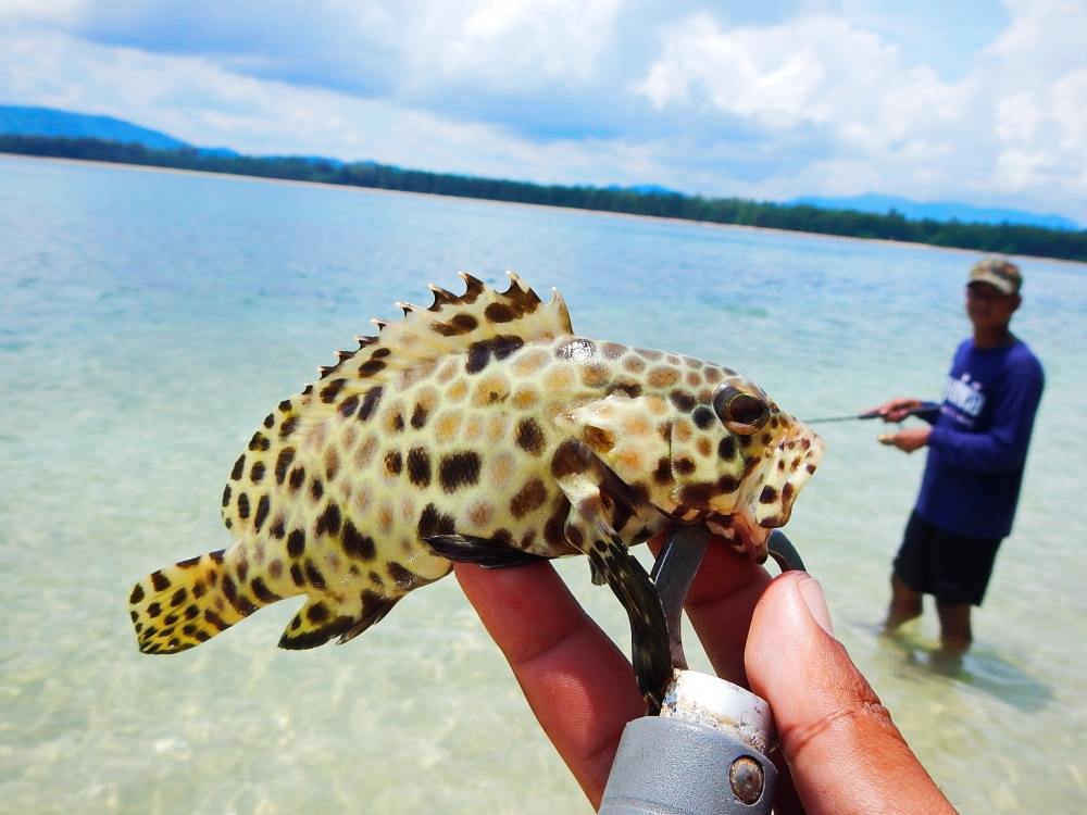 กางลายแทง สุดทางเกาะช้างเลี้ยวขวา ตกปลาบางเบ้า [Video] •••: SiamFishing  : Thailand Fishing Community