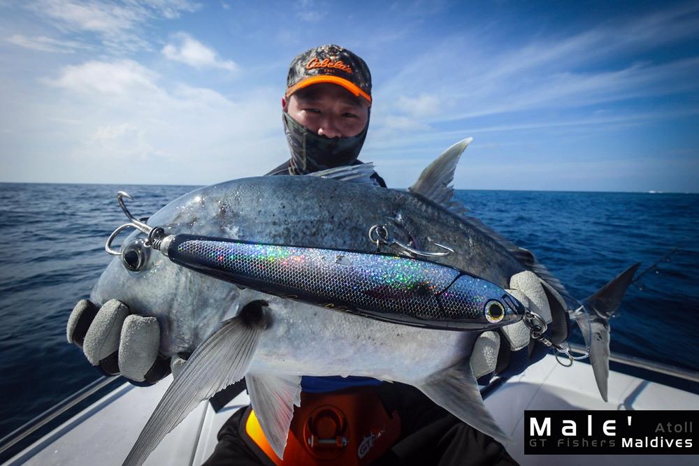 


ปลากะเหยื่อแทบจะยาวเท่ากัน

5555++


ดูครับ ปลาที่ Male' : Maldives  ใจถึงเหลือเกิน

ค