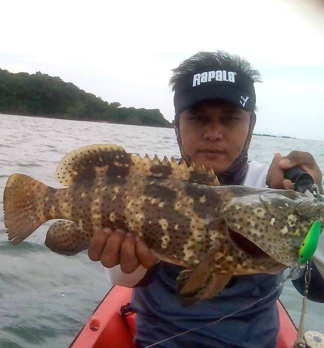 [b]รายละเอียดของสายพันธ์ครับ

ปลากะรังลายจุด หรือ ปลากะรังน้ำกร่อย (อังกฤษ: Brown spotted grouper,