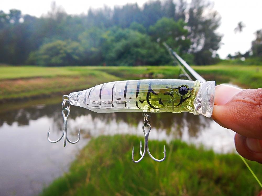 
 [center] [b]Luer : Tackle House Contact Feed Popper 7 cm[/b][/center]

