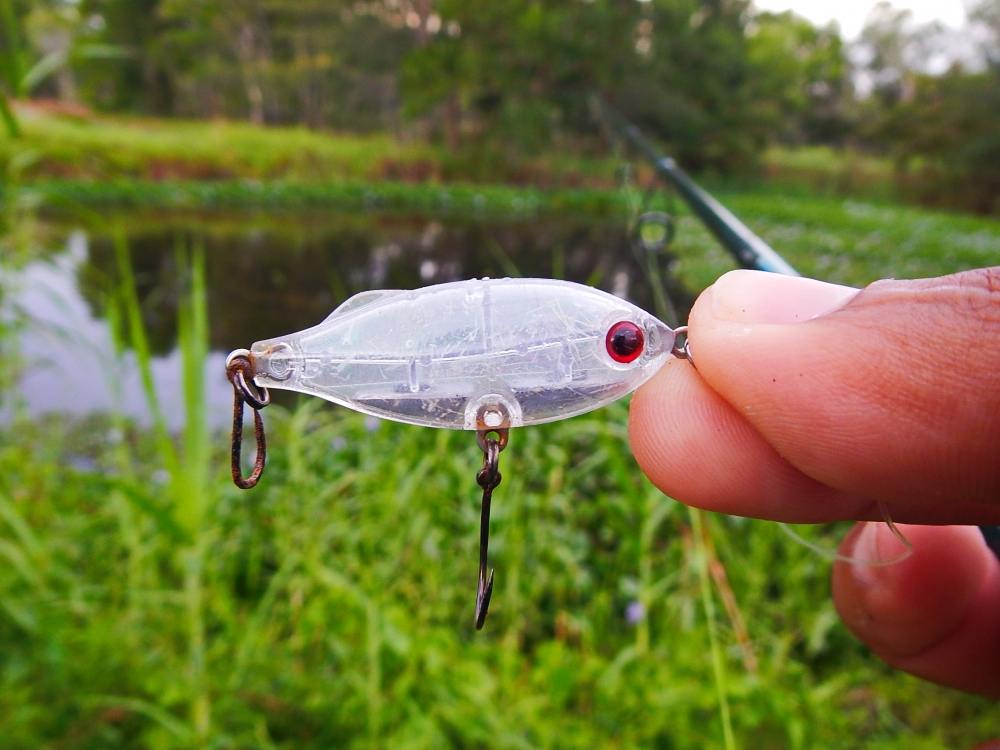 
 [center]ลองเอา Tackle House - SHORES Sinking Pool Shad 41mm 4g  มาเคาะ[/center]

