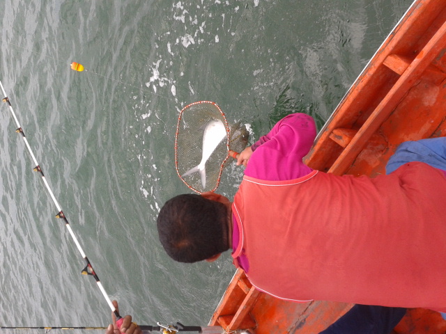 พี่แดงรีบหาสวิงตักปลา ก้มลงจะหัวทิ่มเอา :sick: