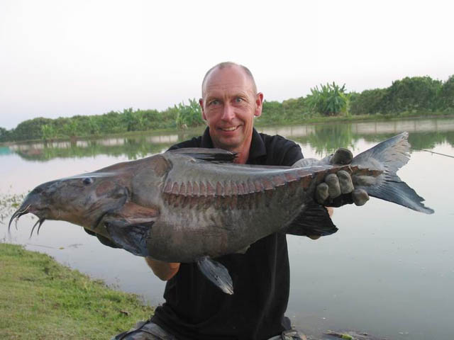 ปลากดหนาม
Oxydoras niger  (Valenciennes, 1821)	
 Ripsaw catfish 
ขนาด 100cm
พบในแม่น้ำอะเมซอน