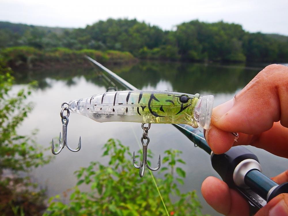 
 [center] [b]Tackle House Contact Feed Popper 70 mm[/b][/center]

