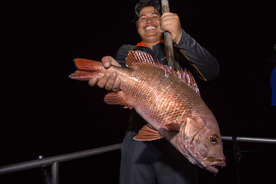 ทั้งเก๋าถ่าน  เเดงเขี้ยว สำลีน้ำลึก(Amberjack)

ไซ้งามๆทั้งนั่น :ohh: