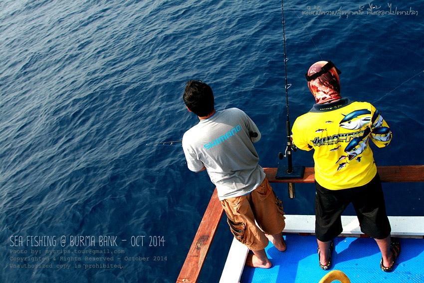 The photo of love between “Shimano & Yellow Fin” :kiss: