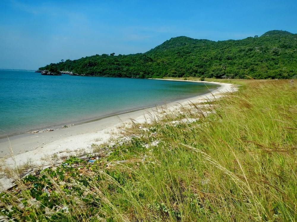  [b]เดินผ่านกลางชายหาดเลยเก็บภาพ  "ทุ่งหญ้าออกรวงสีทอง"  ที่หาดูได้ ในช่วง ลมว่าวมา ครับ [/b] :lov