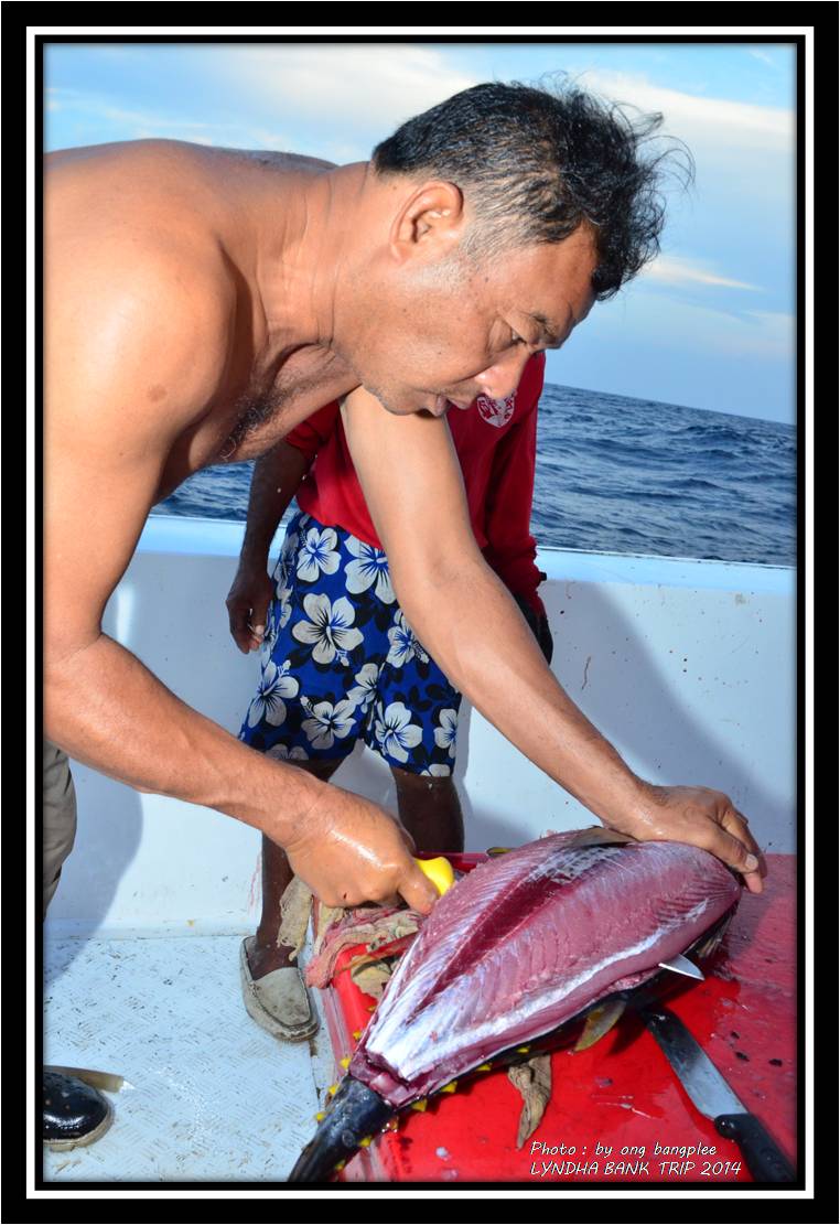 พี่เอก...จัดการถลกหนัง Small yellow fin tuna เพื่อแล่เนื้อไว้ทำปลาดิบทานกันครับ  :laughing: :laughin