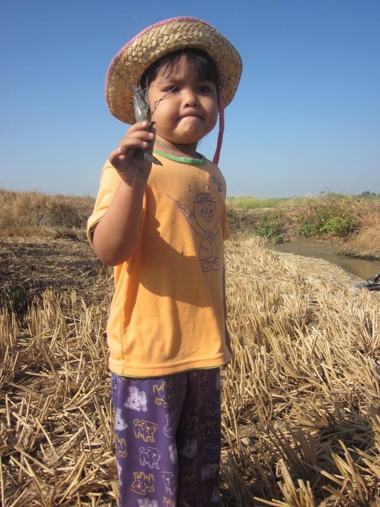 หลานสาวคับ กุ้งจะหนีบหนูไมอะ :laughing: :laughing: :laughing: :laughing: