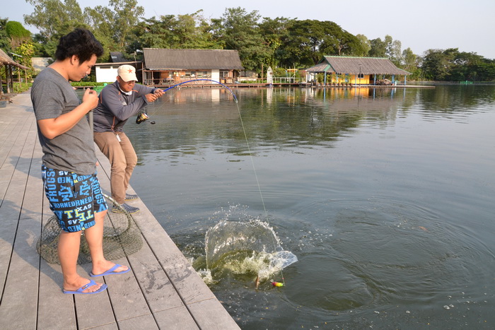 ยังไม่ยอมครับ สู้ดีมากๆๆตัวนี้  :grin: :grin: :grin: :grin: