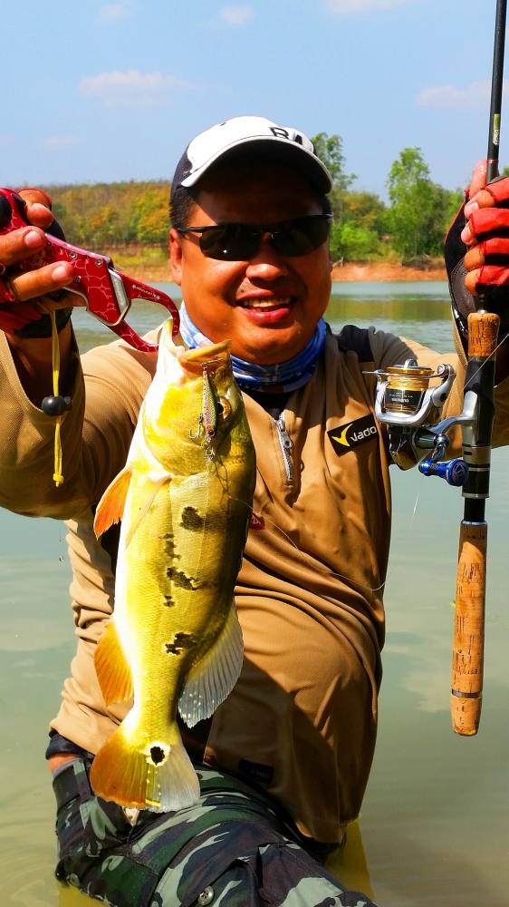 หลายๆมุม กับ Peacock Bass (อ้วนเชียว...  :laughing: :laughing: :laughing:)