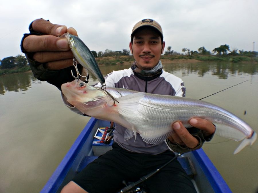 

 [center] [b]ร่องเรือเลาะตีไปกันจนสุดกระชัง เลาะตีกลับมาผมถึงโดนตัวแรกขึ้นมามั่ง[/b][/center]

