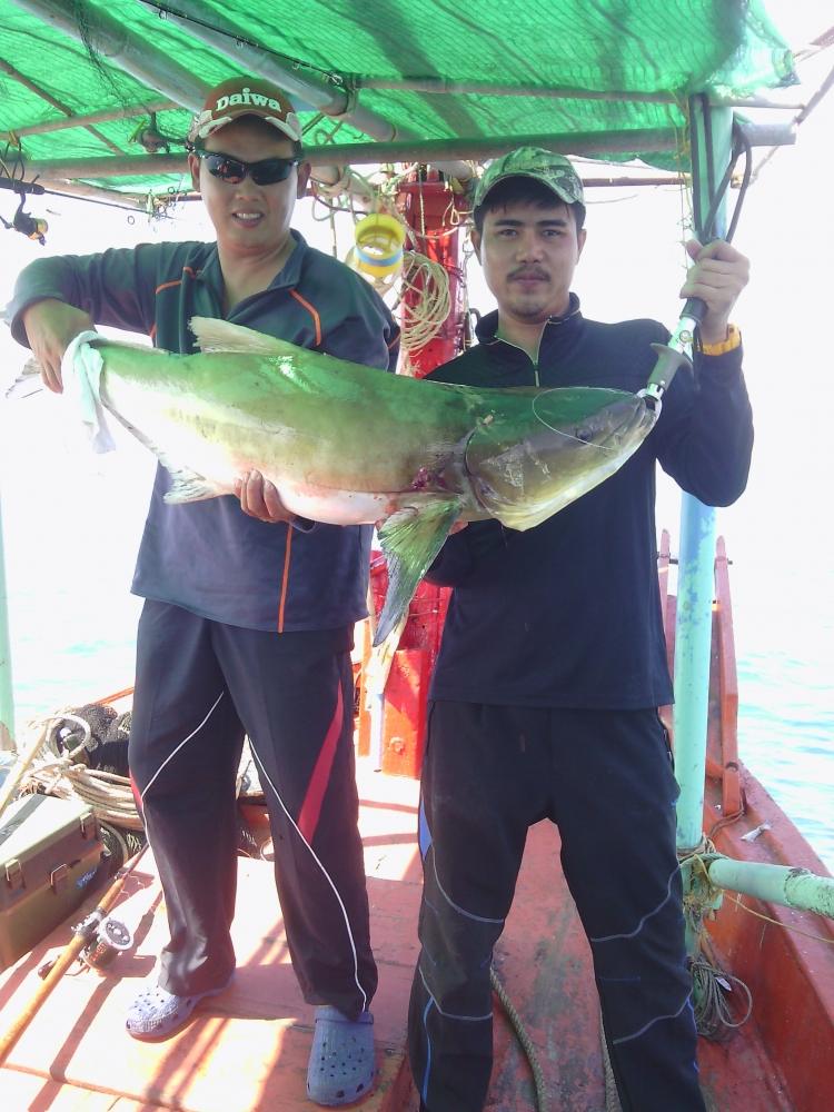 ตกกระพงกับ หัวจิ๊กเทพๆ : SiamFishing : Thailand Fishing Community