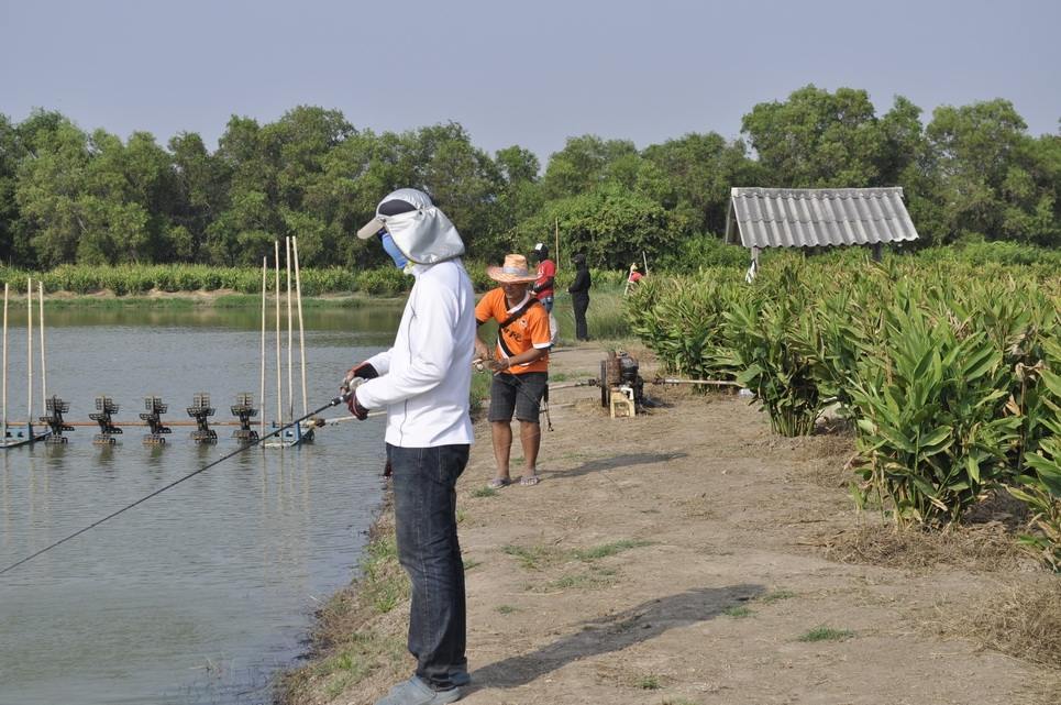 คู่ตัดสินครับ