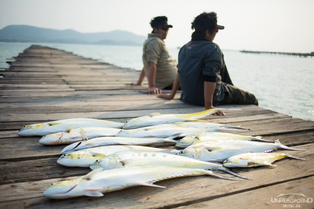 [center]ลากันด้วยภาพสุดท้ายครับ

ขอให้ทุกท่านมีความสุขกับการตกปลา


สำหรับทริพนี้ขอบคุณ [b]LF L