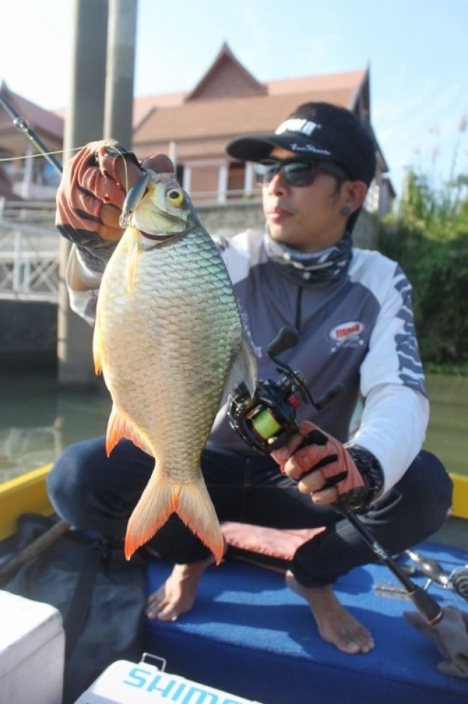 Rapala Ultra Light Minnow Fishing Lure :cheer: :cheer: