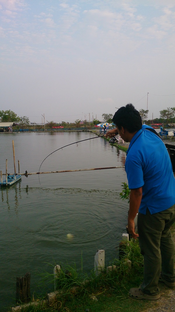 หันมาเจอพี่ชายผมโดนพอดีเลย

คัน Jackson Tricker max 6 LB

รอก Shimano Ultegra 1000 

สาย PE1 ช