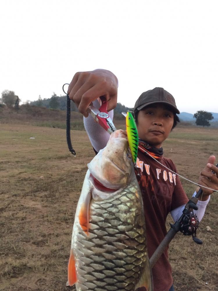  Rapala Fat rap 8 cm  สีนี้ มันกัดดีนะ ขอบอก  :cheer: :cheer: :cheer:

ลากันไปด้วยภาพนี้ครับ ฝากติ