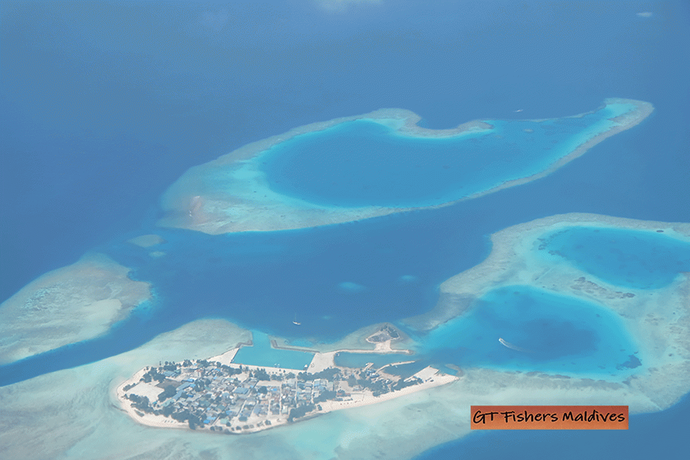 GT Fishers Maldives สิบปากว่าไม่เท่าตาเห็น [ DAY 3 ]