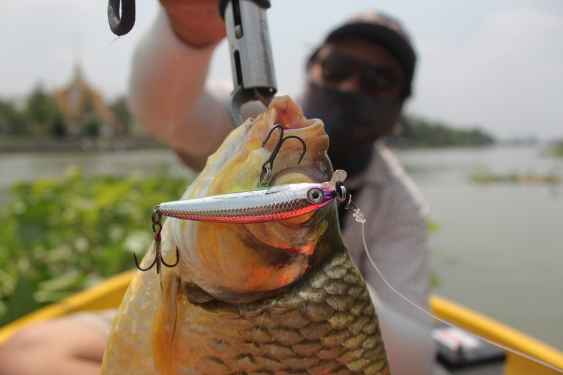 Rapala UL Minnow w0w...w0w :cheer: :cheer: :cheer: :cheer: :cheer: