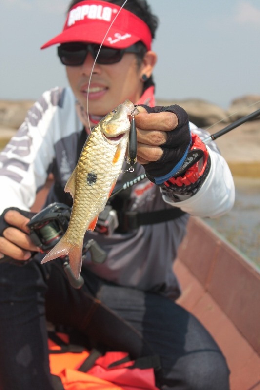 Rapala cd :cheer: :cheer: