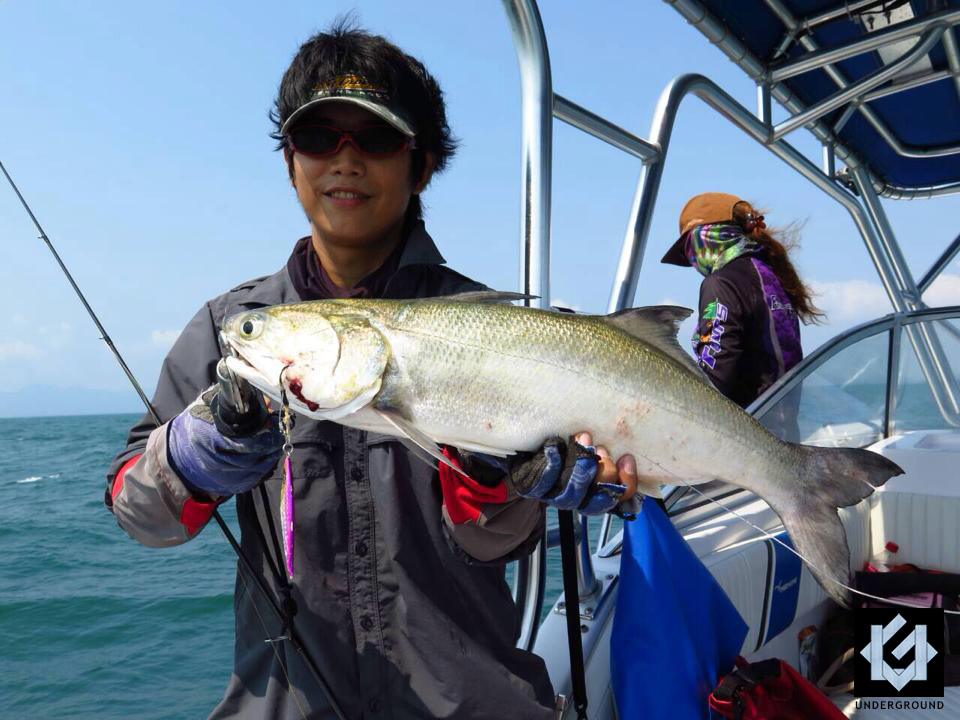  [center]กุเรา จาก UNDERGROUND HYBRID 40g

Species : Fourfinger threadfin
Jig : Underground Metal