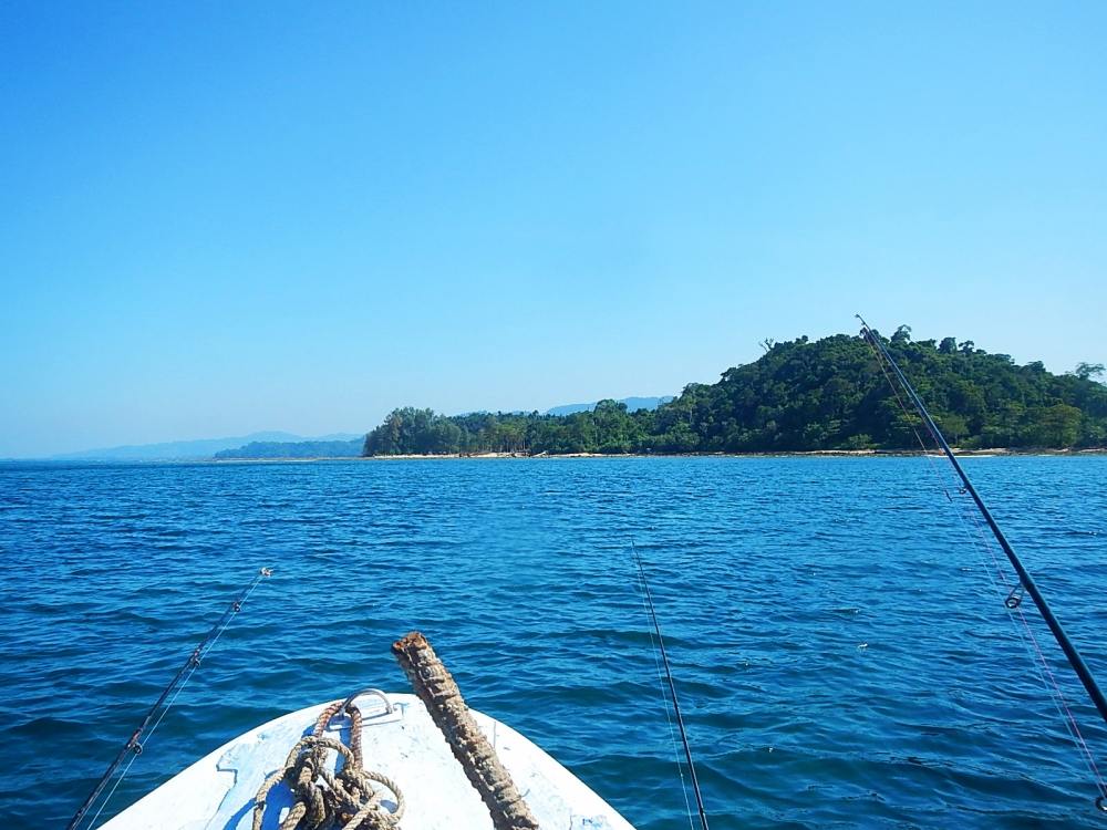 
 [center]ระหว่างวิ่งเรือกลับ ผมก็เก็บภาพบรรยากาศรอบๆไปเรื่อยเปื่อย    :grin: :grin:[/center]

