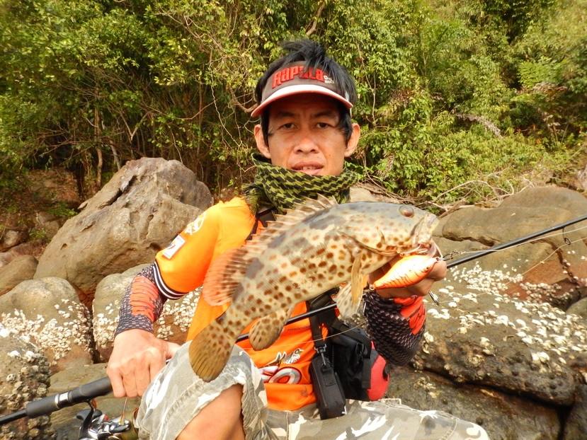 

ตัวนี้ไซส์สวยที่สุดแล้วครับวันนี้  :grin: :grin: :grin:


เหยื่อ:rapala scatter rap crank  :c