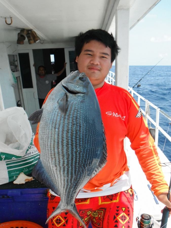 ราคาปลาสีนวลที่ซื้อขายกันที่ท่าเรือก็โลละ 150 บาทแล้วครับ