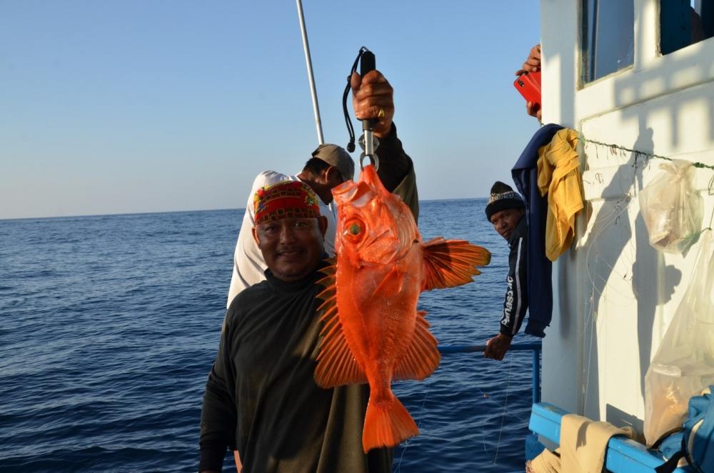 ไม่นานนักพี่เทพก็จัดปลาแปลกมาอีก 1 :cool: :cool: :cool: