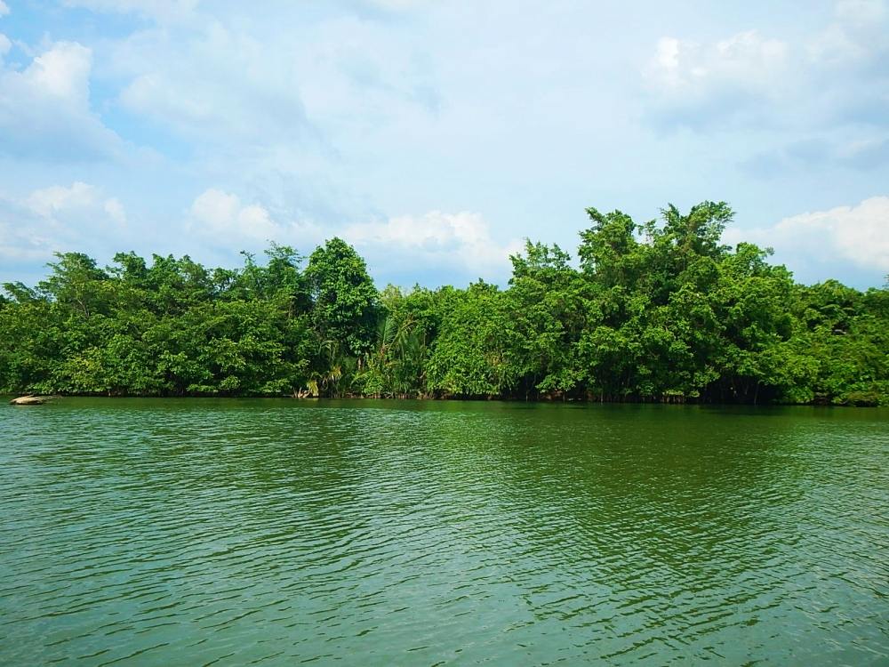 
 [center]แต่กับปลาธรรมชาติ มันเป็นอะไรที่ยากสุดๆ
ที่เราจะจับจุดว่ามันจะสนใจเหยื่อแบบไหน หรือช่วงเ