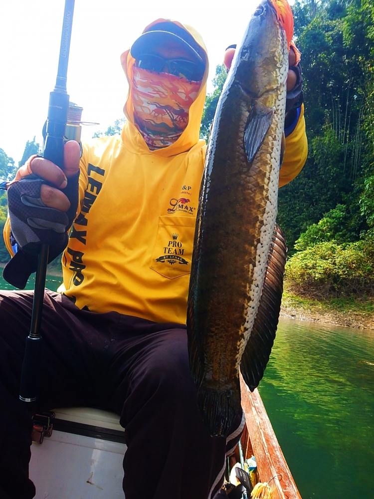 
 [center]โดนชุดนี้เข้าไป 

Rod : HEARTY RISE  EVOLUTION NET-V 10-20 lb
Reel : Shimano '14 Stel