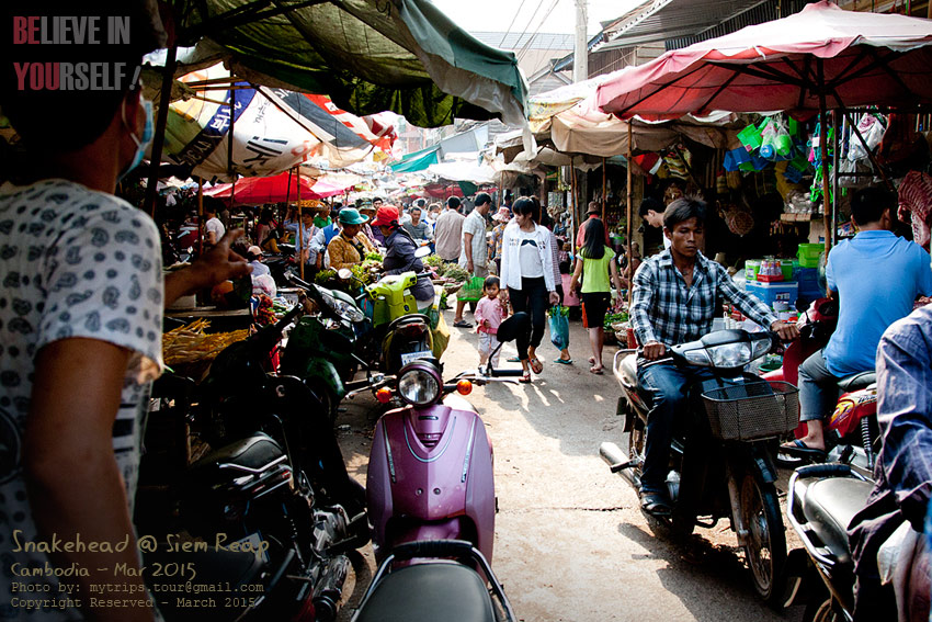 Way of Life at Siem Reap’s morning market #3  :talk: