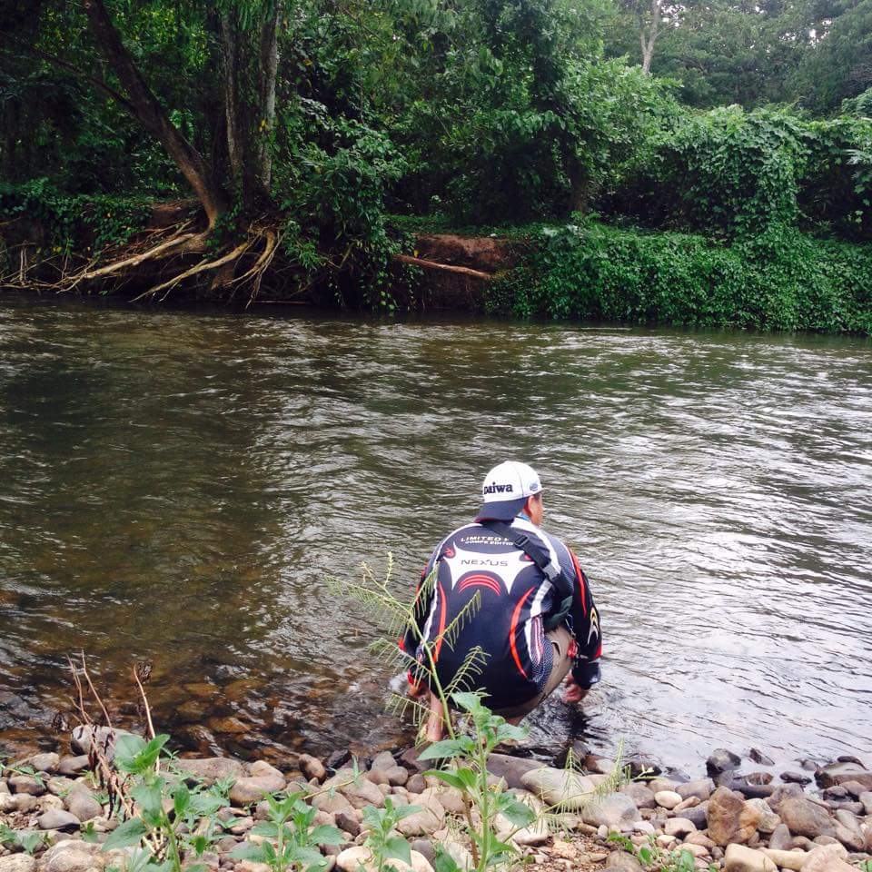 ลัดเลาะกันมาเลื่อย จนถึงหมายนี้  ถ้าเรือพ่อแก่น