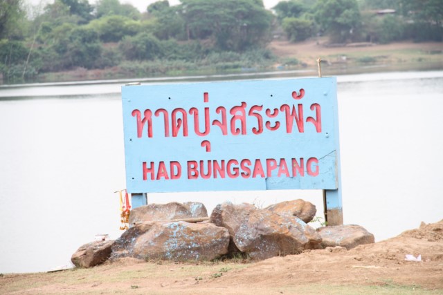  [center]วันนี้ผมจะพามาตกปลาที่บุ่งสระพัง หรือ หาดศรีภิรมณ์กันครับ[/center]
 [center]อยู่ห่างจากเมื