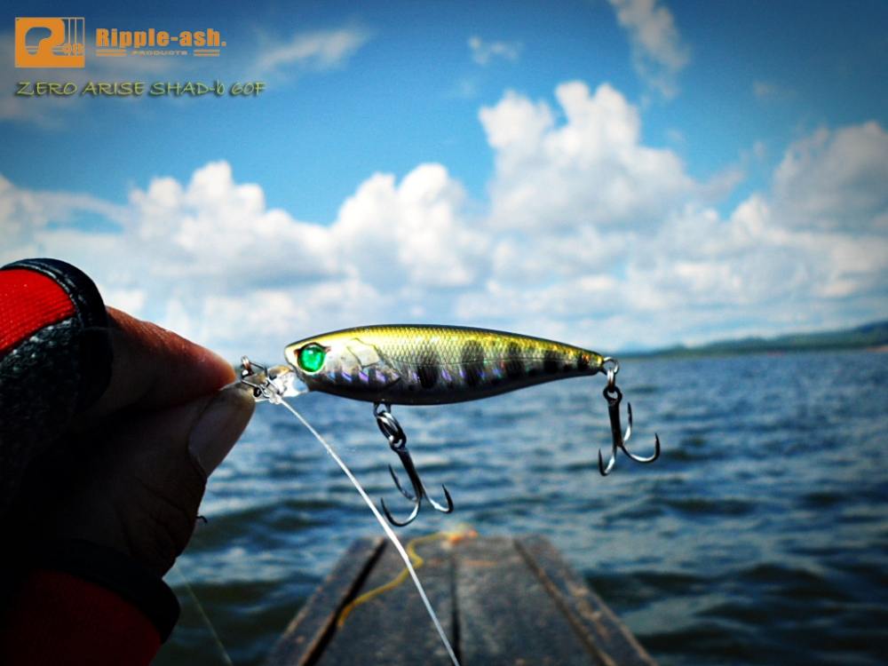 ตัวนี้เลยครับ Ripple-ash : Zero arise shad-b 60f 