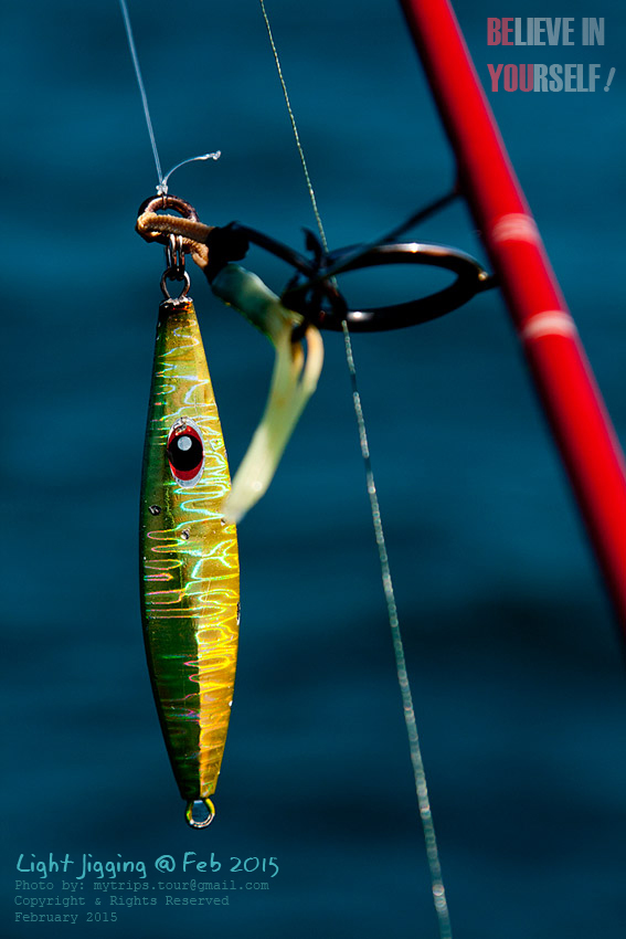 Light Jigging Bait #3  :blush: