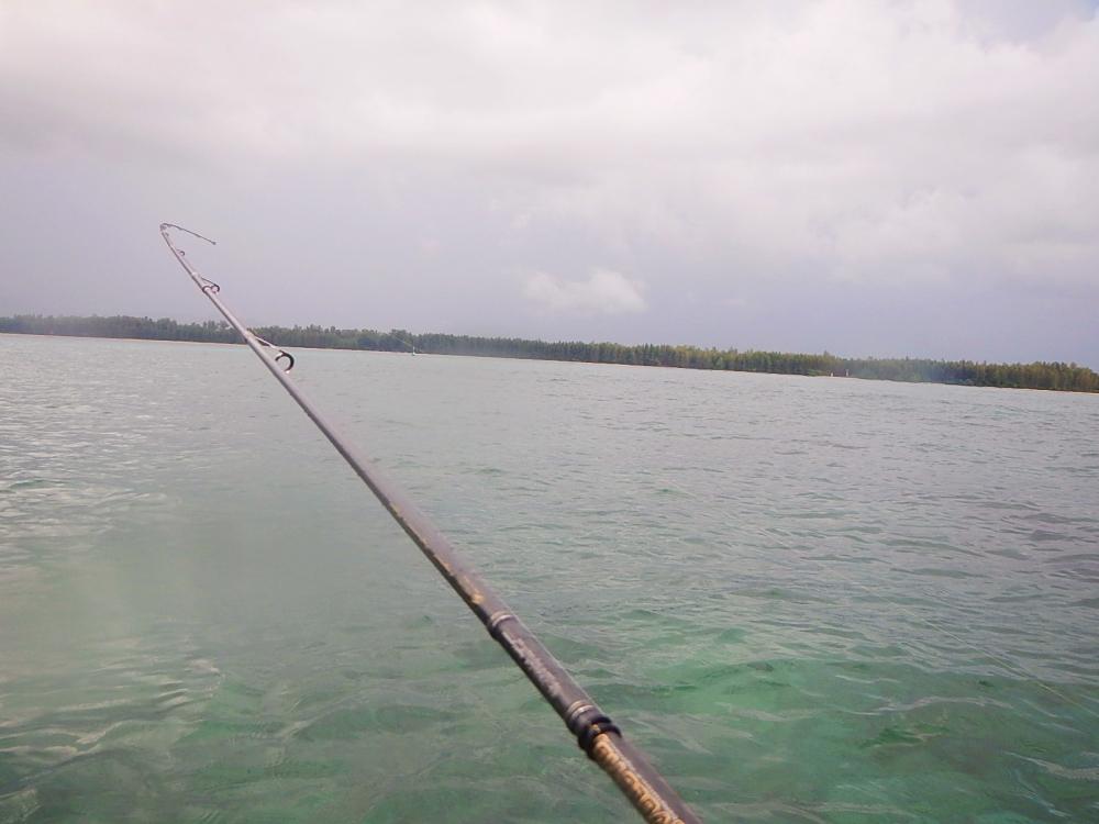 
 [center]เรือเล็ก น้อยใหญ่ วิ่งผ่านไปที มีคลื่นให้ได้โต้เล่นตลอด [/center]

