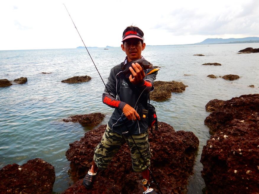 

เอาขึ้นมาอีกตัวครับ ตัวต้นเรื่อง เก๋าลายน้ำเงิน กับเหยื่อ Rapala scatter rap shad 7cm  :cheer: :